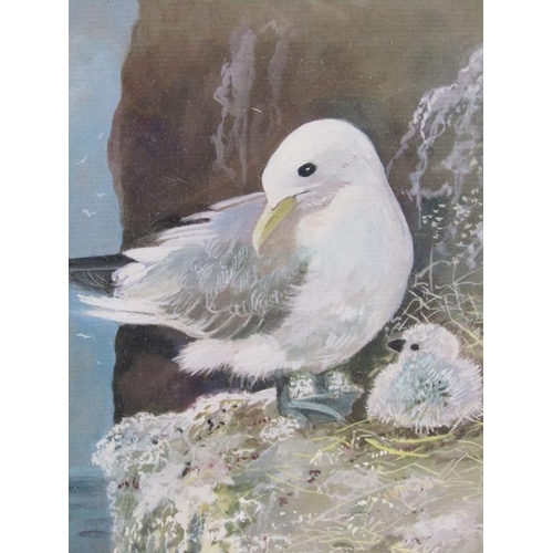 1291 - E.A DUNHAM - FOUR F/G WATERCOLOURS, SEAGULLS & TERNS, 27CM X 20CM