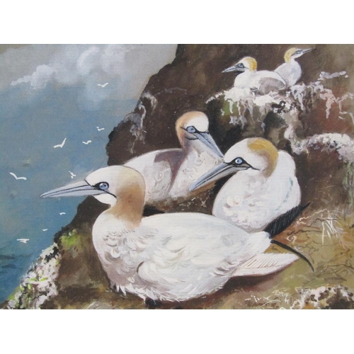 1291 - E.A DUNHAM - FOUR F/G WATERCOLOURS, SEAGULLS & TERNS, 27CM X 20CM