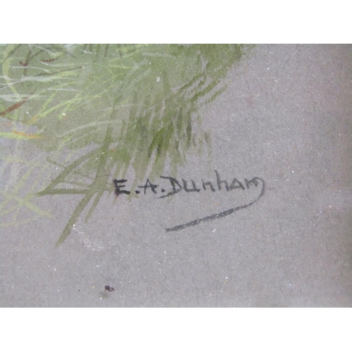 1291 - E.A DUNHAM - FOUR F/G WATERCOLOURS, SEAGULLS & TERNS, 27CM X 20CM