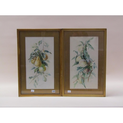 1255 - MARJORIE MCCARTHY - PEARS, SIGNED WATERCOLOUR, F/G, 52CM X 28CM