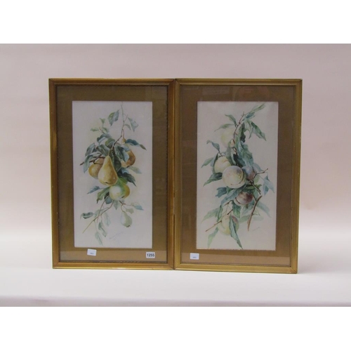 1255 - MARJORIE MCCARTHY - PEARS, SIGNED WATERCOLOUR, F/G, 52CM X 28CM