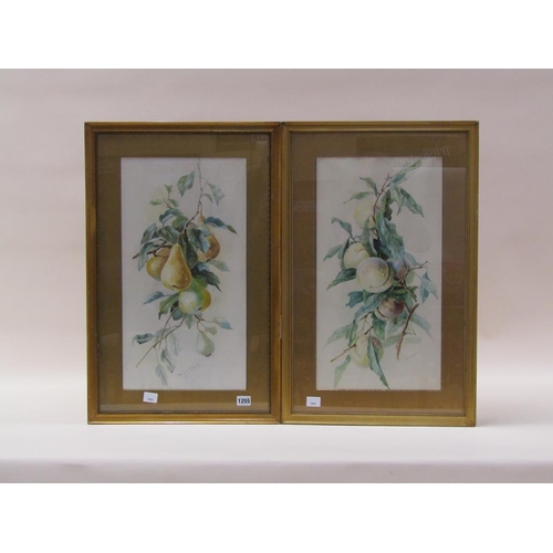 1255 - MARJORIE MCCARTHY - PEARS, SIGNED WATERCOLOUR, F/G, 52CM X 28CM