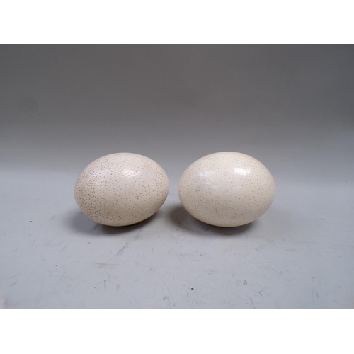 1467 - TWO OSTRICH EGGS