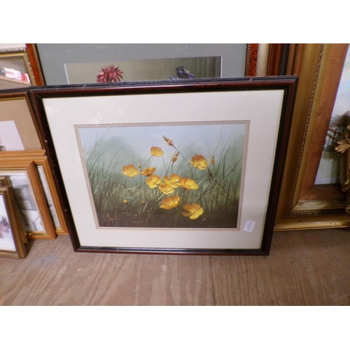 165 - COLLECTION OF FRAMED PICTURES AND PRINTS TO INCL BOTANICAL