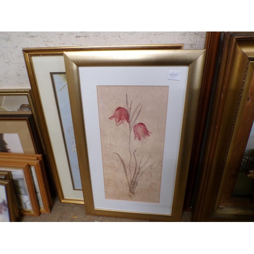 165 - COLLECTION OF FRAMED PICTURES AND PRINTS TO INCL BOTANICAL