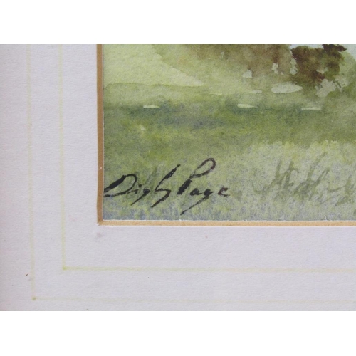 1209 - DIGBY PAGE - NOT A GREAT CROWD, SIGNED WATERCOLOUR, F/G, 10CM X 19CM