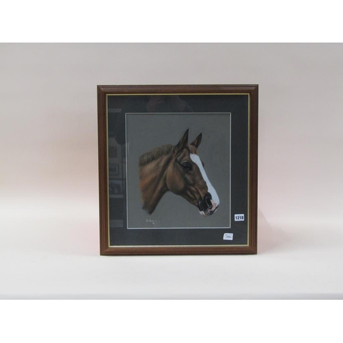 1218 - KIM HEWER 80 - PORTRAIT OF A HORSE, SIGNED WATERCOLOUR, F/G, 38CM X 33CM