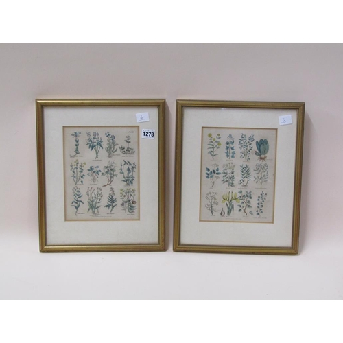 1278 - PAIR OF F/G COLOURED TITLED PRINTS - BOTANICAL SUBJECTS, 23CM X 18/CM