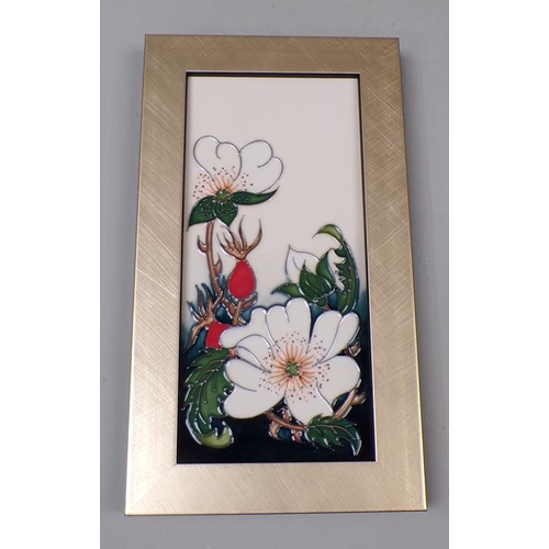 1827 - MOORCROFT FRAMED PLAQUE WITH WILD ROSE DESIGN (BOXED), FRAME 25CM SQ