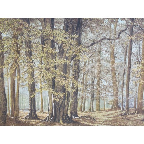 1215A - THREE SIGNED DAWN MATTHEWS WOODLAND PRINT; ONE OTHER