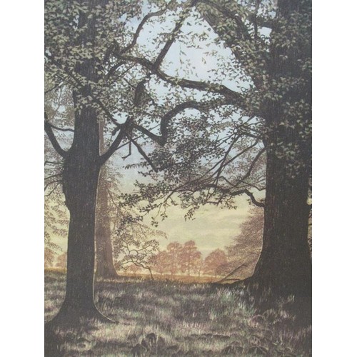 1215A - THREE SIGNED DAWN MATTHEWS WOODLAND PRINT; ONE OTHER