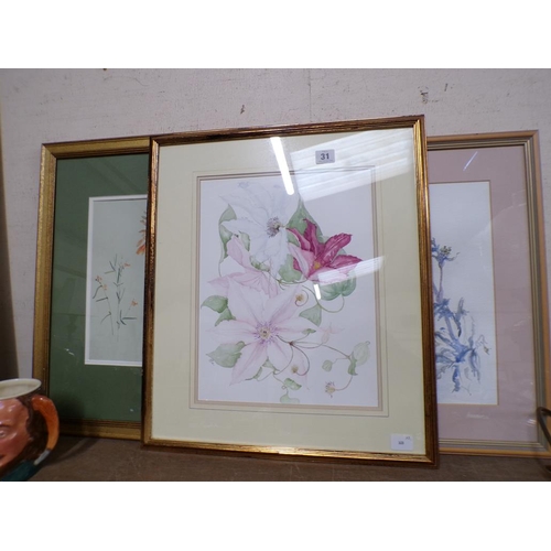 31 - COLLECTION OF BOTANICAL WATERCOLOURS