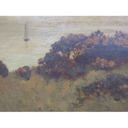 1220 - GEORGE EDWARD COOK - GORSE IN A COASTAL SETTING, SIGNED OIL ON CANVAS, FRAMED, 20CM X 42CM