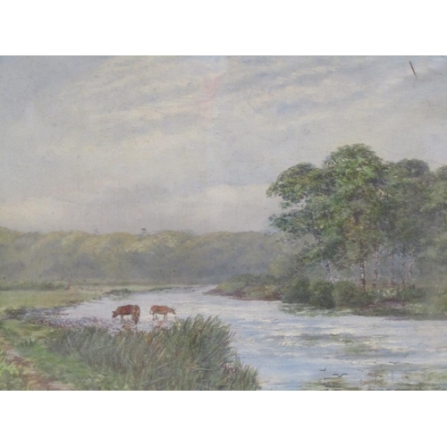 1224 - UNSIGNED LATE 19C - CATTLE WATERING IN A RIVER SETTING, OIL ON CANVAS, F/G, 24CM X 34CM