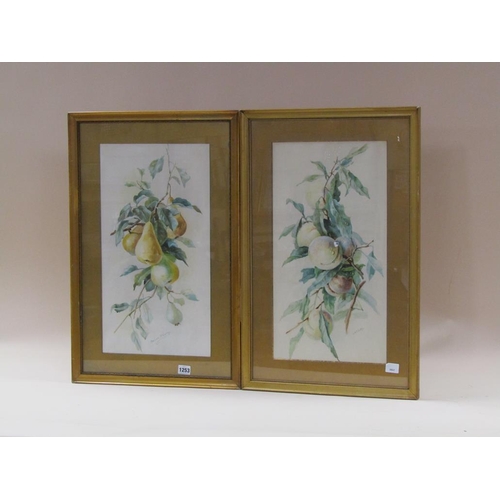 1253 - MARJORIE MCCARTHY - PAIR, PEARS & PEACH, F/G WATERCOLOURS, 53CM X 28CM