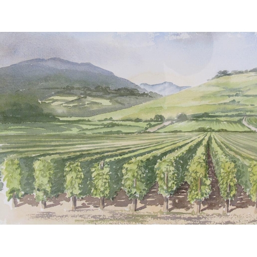 1275 - TWO F/G WATERCOLOURS - VINE YARD & FAST FLOWING CREEK