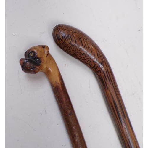 1416 - HAZEL WALKING STICK WITH BULLDOG CARVED HANDLE; ROSEWOOD STICK