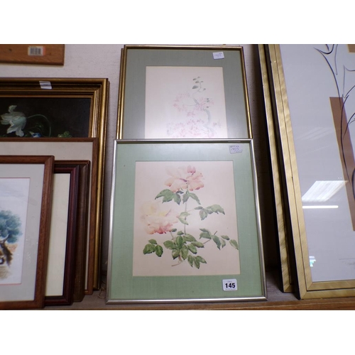 145 - COLLECTION FRAMED BOTANICAL WATERCOLOURS