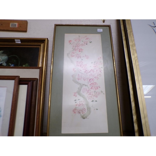 145 - COLLECTION FRAMED BOTANICAL WATERCOLOURS