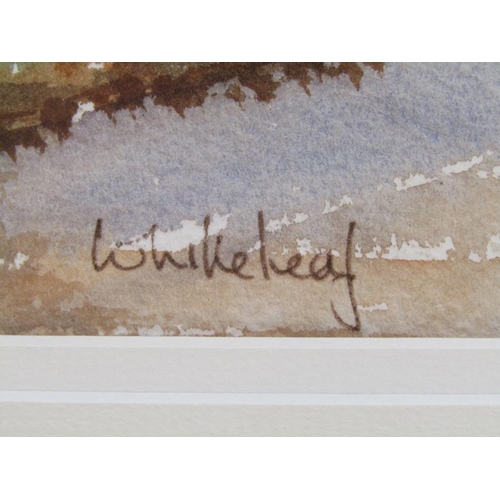 1231 - JENNIFER KING 97 - WHITELEAF, SIGNED AND TITLED WATERCOLOUR, F/G, 21CM X 26CM