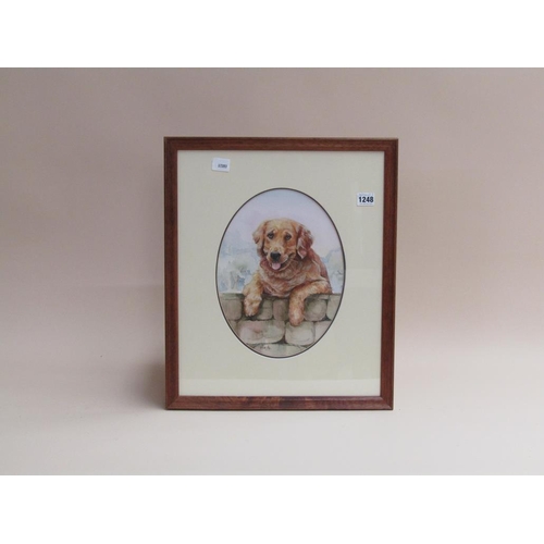 1248 - GLENDA RAE - GOLDEN RETRIEVER DOG, SIGNED OVAL OIL, F/G, 30CM X 23CM