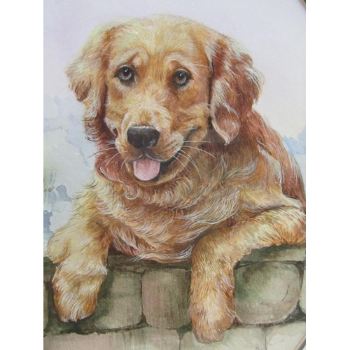 1248 - GLENDA RAE - GOLDEN RETRIEVER DOG, SIGNED OVAL OIL, F/G, 30CM X 23CM