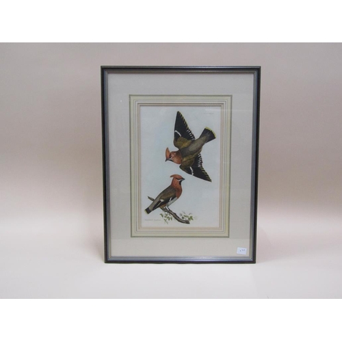 1203 - TWO F/G COLOURED PRINTS - BIRDS TO INCL WAXWING, EACH F/G, 40CM X 26CM