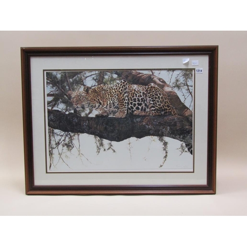 1214 - SIMON COMBES 89 - LEOPARD IN A TREE, COLOURED PRINT, F/G, 49CM X 69CM