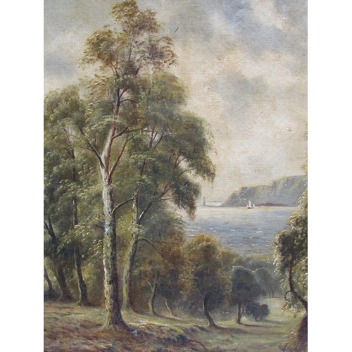 1237 - MONO J.S - PAIR OF LAKELAND SCENES, SIGNED IN MONO, OIL ON CANVAS, EACH FRAMED 45CM X 29CM