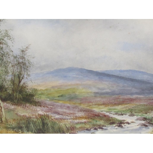 1261 - SIGNED INDISTINCTLY - MOORLAND LANDSCAPE, WATERCOLOUR, F/G, 24CM X 34CM