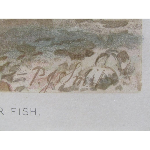 1283 - TWO F/G COLOURED PRINTS - VARIOUS FISH, EACH APPROX 22CMX 15CM