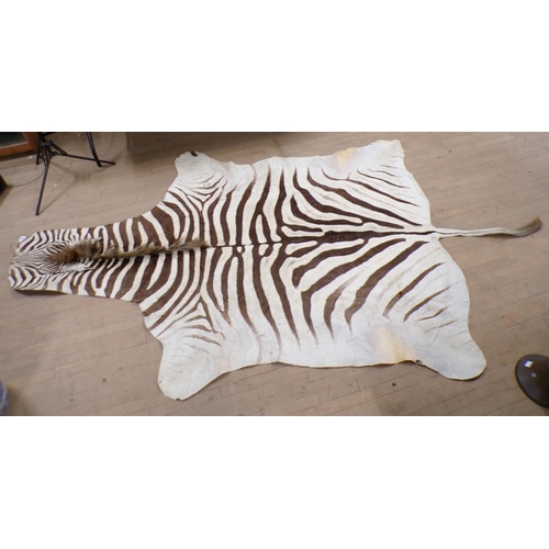 1309 - ZEBRA HIDE