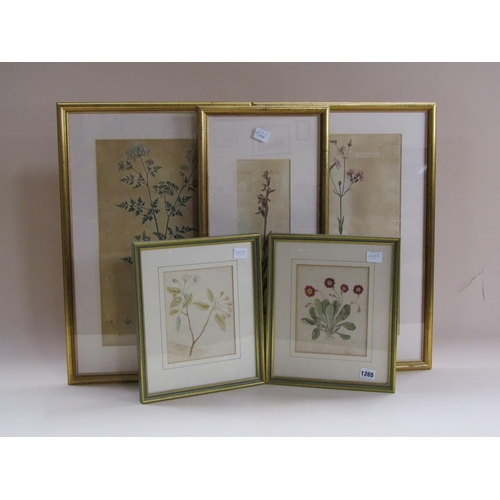 1265 - COLLECTION OF FIVE 19C FLORAL COLOURED PRINTS WITH DESCRIPTIONS, F/G