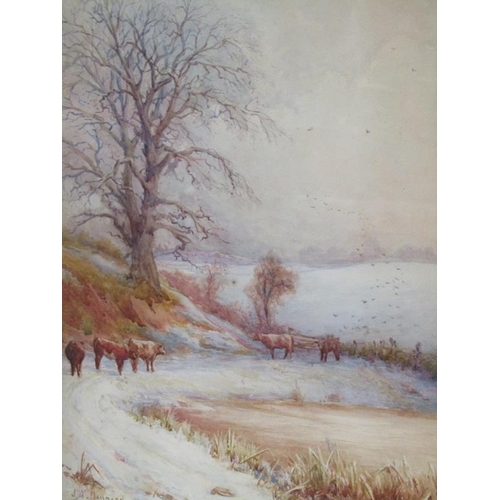 1208 - J Y BANBARN 93 - CATTLE IN A WINTER SETTING, SIGNED WATERCOLOUR, F/G, 46CM X 33CM