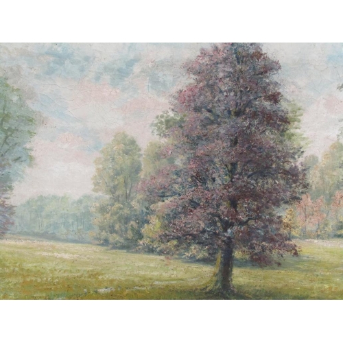 1221 - SIGNED INDISTINCTLY - TREE IN PARKLAND SETTING, SIGNED, OIL ON CANVAS, FRAMED, 68CM X 96CM