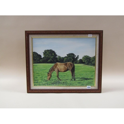 1223 - D STUBBLEY 91 - PORTRAIT OF A HORSE GRAZING, SIGNED OIL ON CANVAS, FRAMED, 39CM X 50CM