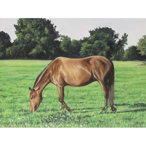 1223 - D STUBBLEY 91 - PORTRAIT OF A HORSE GRAZING, SIGNED OIL ON CANVAS, FRAMED, 39CM X 50CM