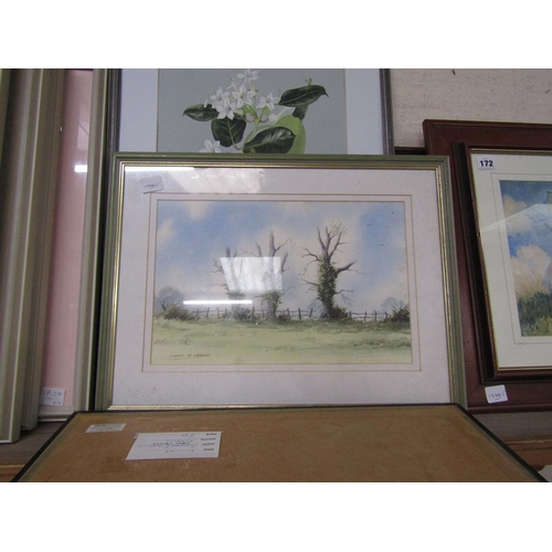 171 - FRAMED WATERCOLOURS RIVERSCAPES ETC