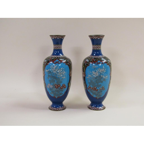 50 - A pair of Meiji period cloisonné vases of baluster form, decorated with panels of flowers, 29cm h.