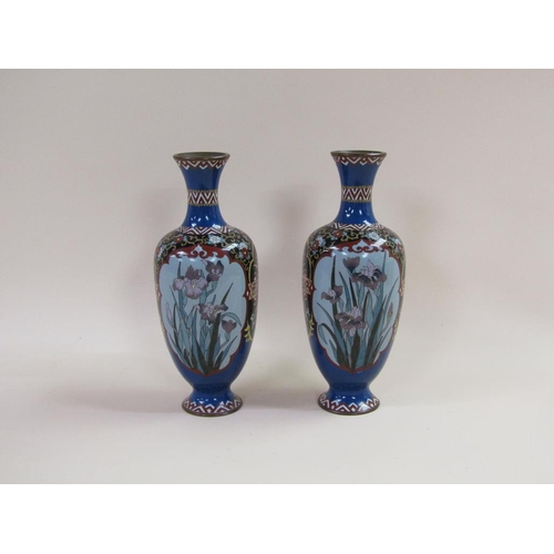 50 - A pair of Meiji period cloisonné vases of baluster form, decorated with panels of flowers, 29cm h.