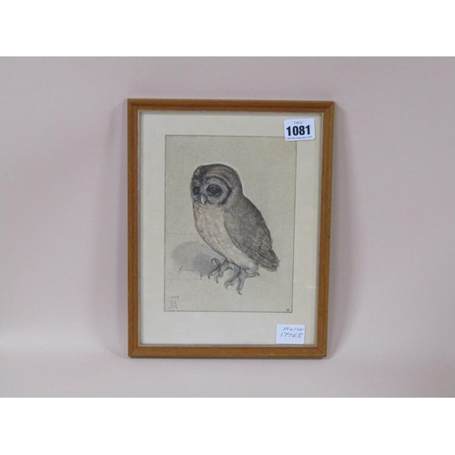 1081 - ALBRECHT DURER - OWL, COLOURED PRINT, F/G, 19CM X 14CM