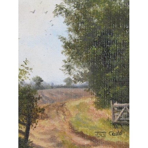 1088 - JOY CODD - PAIR, F/G MINIATURE OIL ON BOARD, AUTMUN PLOUGHING & RIVERSCAPE, EACH APPROX. 10CM X 7CM