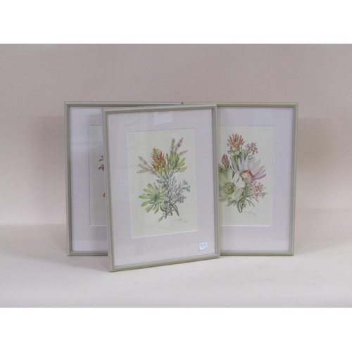 1007 - SERIES OF FOUR F/G COLOURED FLORAL PRINTS, SIGNED BY ARTIST, 35CM X 24CM