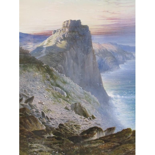 1011 - SIGNED WRIGHT (POSSIBLY RICHARD HENRY WRIGHT 1857/1930) - SHEEP ON A ROCKY CLIFF, SIGNED WATERCOLOUR... 