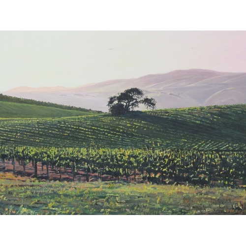 1019 - BOYD & EVANS - TALINDA OAKS EVENING I & II, PAIR, OIL ON CANVAS, EACH APPROX. 61CM X 76CM