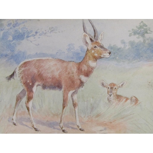 1053 - HEINRICH EGERSDORFER - PAIR, THE WATERBOK AND FLAMINGOS & ANTELOPE AND CALF, F/G WATERCOLOURS, SIGNE... 