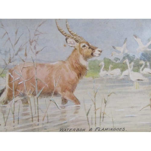 1053 - HEINRICH EGERSDORFER - PAIR, THE WATERBOK AND FLAMINGOS & ANTELOPE AND CALF, F/G WATERCOLOURS, SIGNE... 