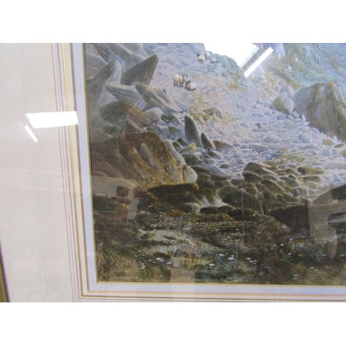 1011 - SIGNED WRIGHT (POSSIBLY RICHARD HENRY WRIGHT 1857/1930) - SHEEP ON A ROCKY CLIFF, SIGNED WATERCOLOUR... 