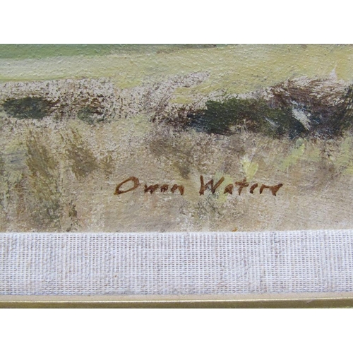 1319 - OWEN WATERS - AUTUMN LANDSCAPE, SIGNED OIL ON BOARD, FRAMED, 30CM X 40CM
