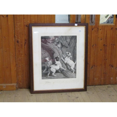 1333 - FRAMED B&W PRINT - PUPPIES AND KITTENS, 54CM X 50CM
